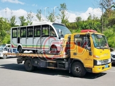 【June. 2025】To Caribbean Country- 1 Unit of Sightseeing Car (14 Seats)
